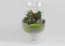 Coppia di vasi a calice in vetro