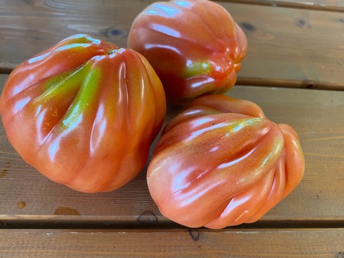 Pomodoro cuore bue - cuore, di