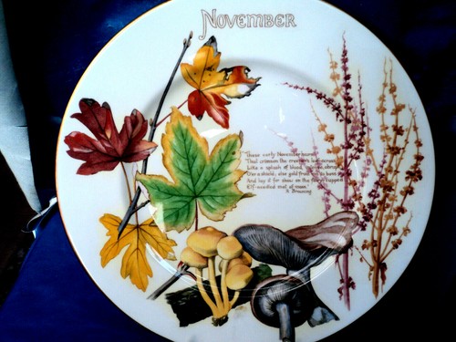 Piatto novembre porcellana - piatto,