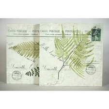 COPPIA QUADRI STAMPE CANVAS SHABBY CHIC FOLIAGE QUADRATO 30,5X30.5cm.