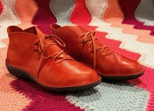 LOINTS OF HOLLAND donna 39 US