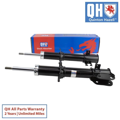 Coppia ammortizzatori - qh,
