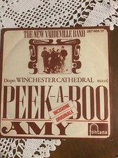 THE NEW VAUDEVILLE BAND “