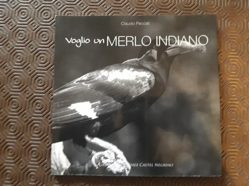 Voglio merlo indiano - un,