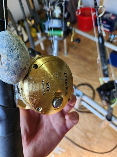 Shimano torsa - shimano, 20