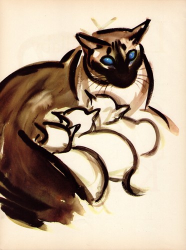Stampa gatto siamese - , vintage