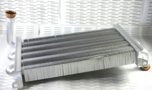 Ariston microgenus 24 - he,
