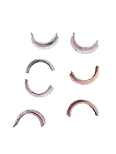 Anelli Terminale Scarico 7