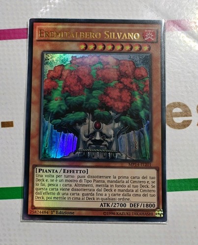 Eremitalbero silvano ed ita - silvano,