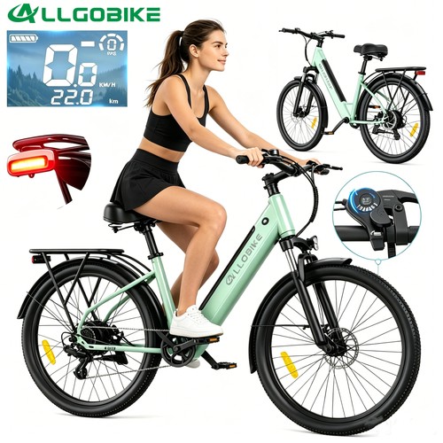 Bicicletta elettrica 250 36 - bicicletta, w