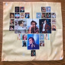 harry styles federa collage