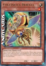 COCCINELLA DORATA • (Golden