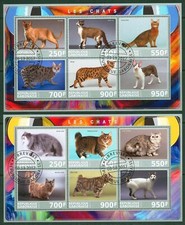 Animali domestici GATTI