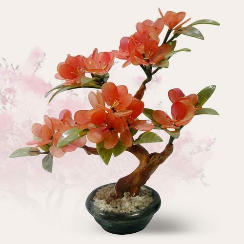 Bonsai fiori pesca - di,