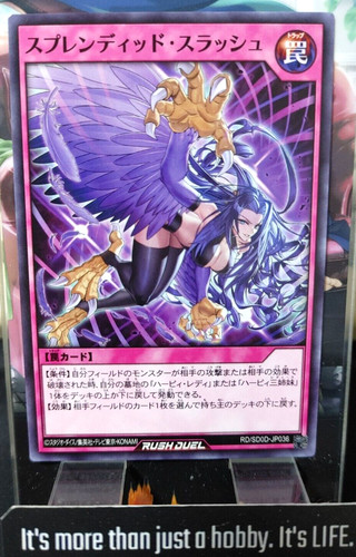 Splendido slash yugioh - splendido,