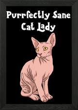 Poster Sphynx gatto signora