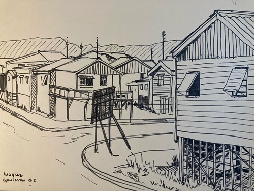 Bella disegno inchiostro - bella,