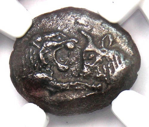 Lydia kroisos lion bull - kroisos,