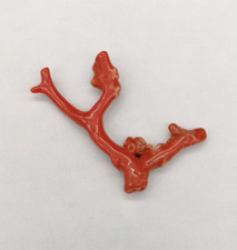 ramo di corallo rosso naturale