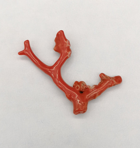 Ramo corallo rosso naturale - ramo,