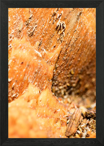 Quadro stampa tela poster - stampa, su
