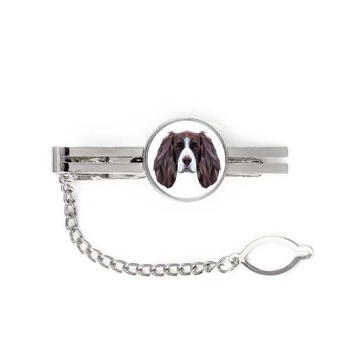 Springer spaniel inglese - springer,