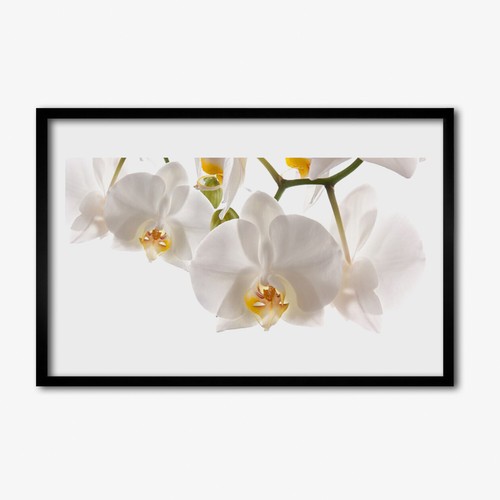 Arte parete con cornice - parete,