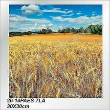 QUADRO MODERNO TELA 30X30