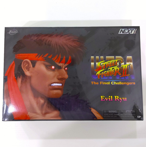 Street fighter evil - fighter,