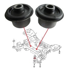 Boccole Assali Posteriori /