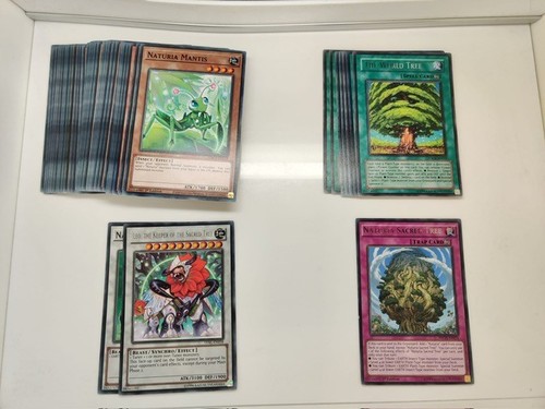 Yugioh competitive naturia - -,