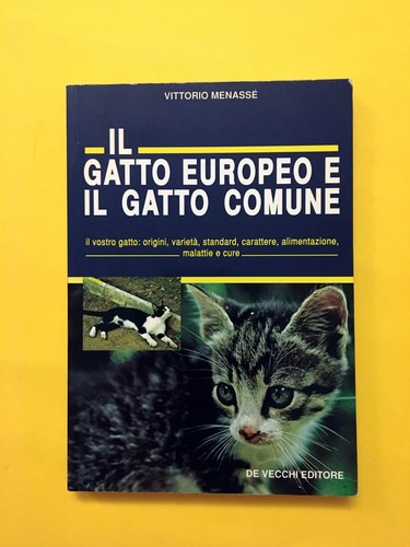 Gatto europeo il - europeo, e