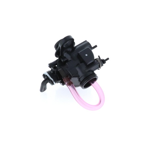 Assy carburatore rasaerba