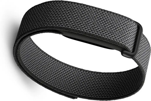 Google fitbit air - google,