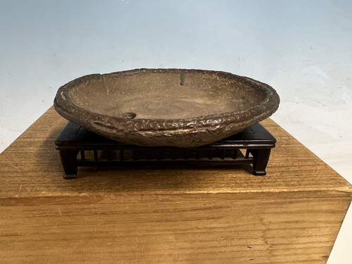 Vaso per bonsai - , bunjin