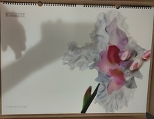 Calendario Pirelli 2004 Nick