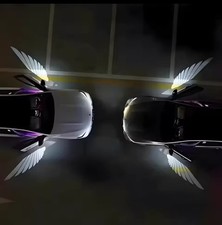 2 Luci Led Cortesia Portiera Logo Per Auto Ali D'angelo Proiettore 