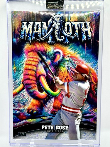 2024 wild card - card, pete
