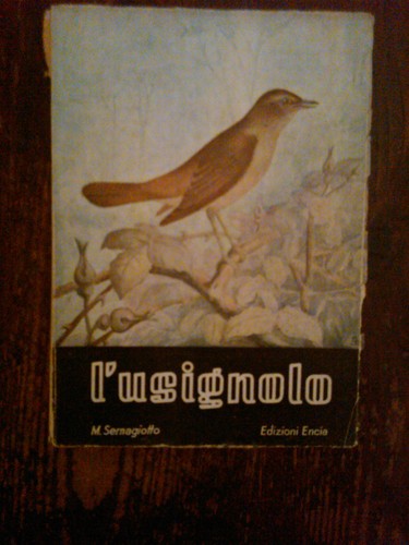 Mario sernagiotto l - -, l'usignolo
