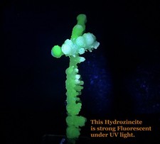 104mm 'SAIL-LIKE' forte