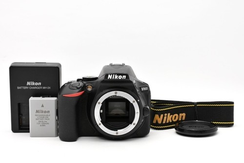 Nikon d5600 megapixel - 24,2,