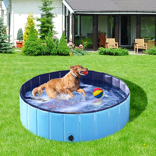 Piscina per cani rigida - piscina,
