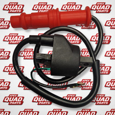 Bobina accensione Polaris