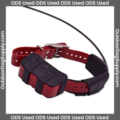Collare garmin dc50 - collare, usato
