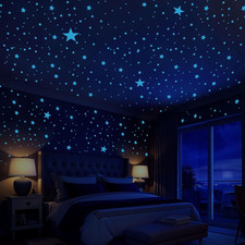 431 Pezzi Stelle Fluorescenti