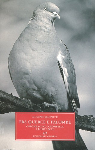 Fra querce palombe - palombe,