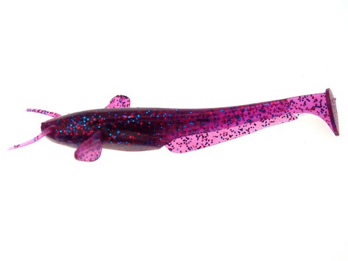 Fishup pesce gatto 10 - fishup,