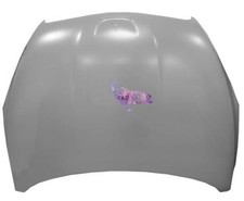 COFANO ANTERIORE COFANO MOTORE