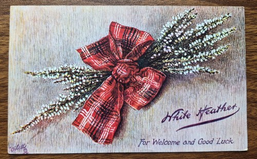 1912 white heather postcard - 1912,