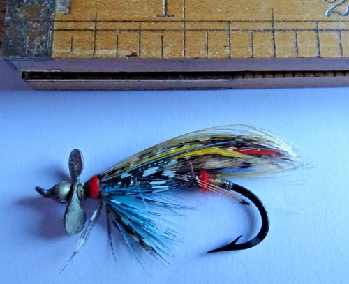 Una buona esca pesca - una,